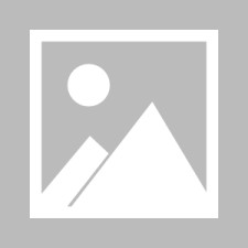 九游体育官方网站-斯图加特转会最新消息